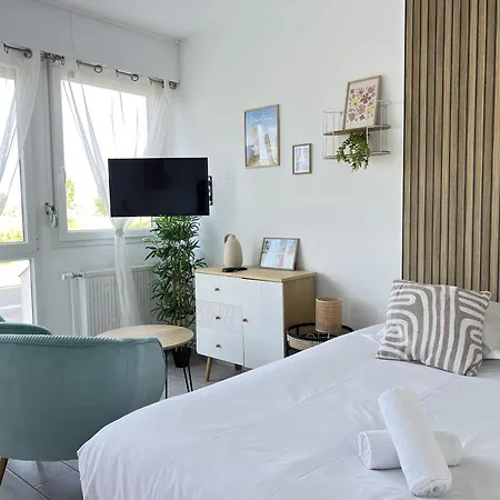 Apartment Le Rodin *